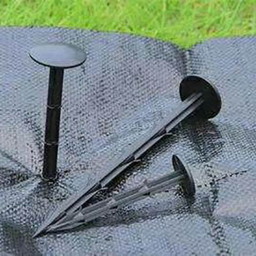 闃茶崏甯?9 闃茶崏甯?9